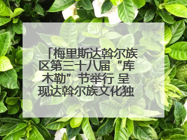 梅里斯达斡尔族区第三十八届“库木勒”节举行 呈现达斡尔族文化独特魅力