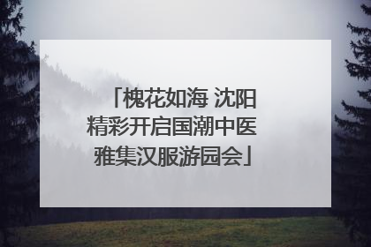 槐花如海 沈阳精彩开启国潮中医雅集汉服游园会