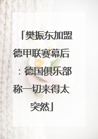 樊振东加盟德甲联赛幕后：德国俱乐部称一切来得太突然