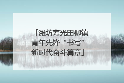 潍坊寿光田柳镇青年先锋“书写”新时代奋斗篇章