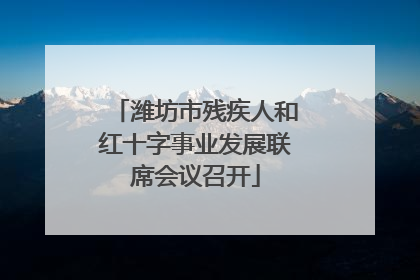 潍坊市残疾人和红十字事业发展联席会议召开