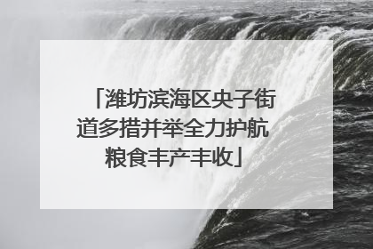 潍坊滨海区央子街道多措并举全力护航粮食丰产丰收