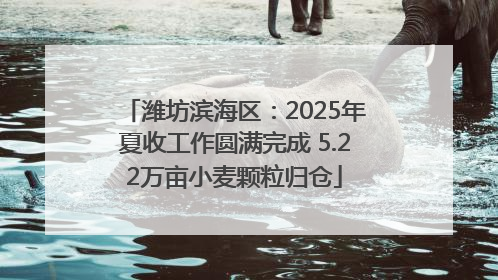 潍坊滨海区：2025年夏收工作圆满完成 5.22万亩小麦颗粒归仓