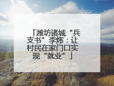 潍坊诸城“兵支书”李炜：让村民在家门口实现“就业”