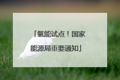 氢能试点！国家能源局重要通知