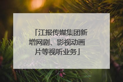 江报传媒集团新增网剧、影视动画片等视听业务