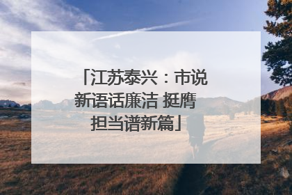 江苏泰兴：市说新语话廉洁 挺膺担当谱新篇