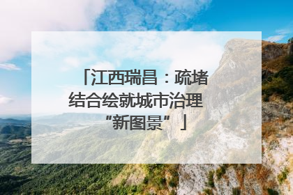 江西瑞昌：疏堵结合绘就城市治理“新图景”