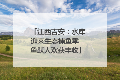 江西吉安：水库迎来生态捕鱼季 鱼跃人欢获丰收