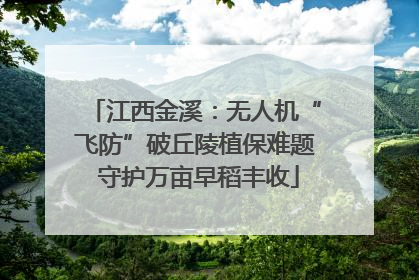 江西金溪：无人机“飞防”破丘陵植保难题 守护万亩早稻丰收