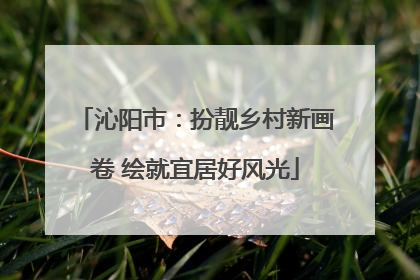 沁阳市：扮靓乡村新画卷 绘就宜居好风光