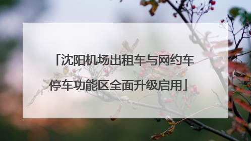 沈阳机场出租车与网约车停车功能区全面升级启用