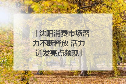 沈阳消费市场潜力不断释放 活力迸发亮点频现