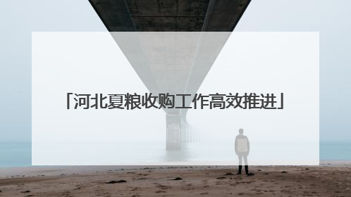 河北夏粮收购工作高效推进