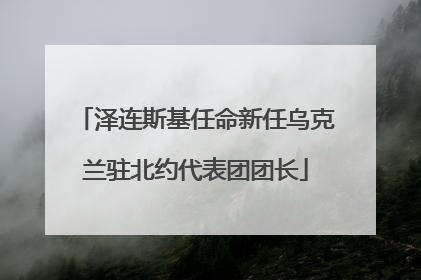 泽连斯基任命新任乌克兰驻北约代表团团长