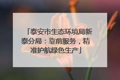 泰安市生态环境局新泰分局：靠前服务，精准护航绿色生产