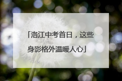 洛江中考首日，这些身影格外温暖人心