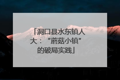 洞口县水东镇人大：“蘑菇小镇”的破局实践