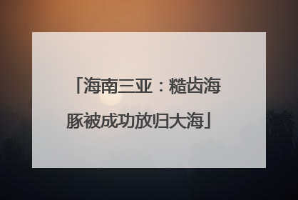 海南三亚：糙齿海豚被成功放归大海