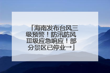 海南发布台风三级预警！防汛防风Ⅲ级应急响应！部分景区已停业→