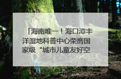海南唯一！海口潭丰洋湿地科普中心荣膺国家级“城市儿童友好空间建设园区”称号
