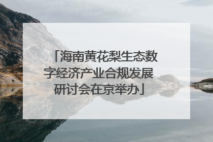 海南黄花梨生态数字经济产业合规发展研讨会在京举办