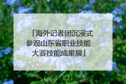 海外记者团沉浸式参观山东省职业技能大赛技能成果展