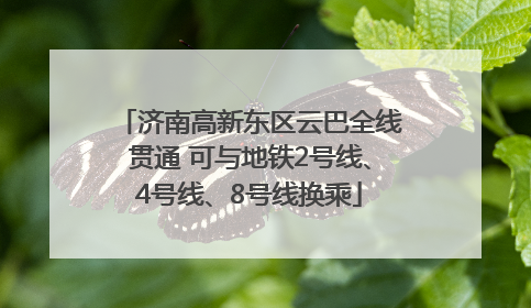 济南高新东区云巴全线贯通 可与地铁2号线、4号线、8号线换乘