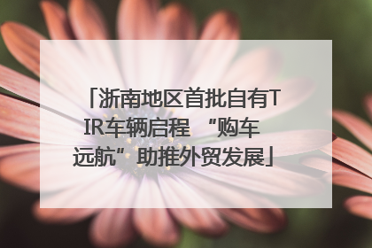 浙南地区首批自有TIR车辆启程 “购车远航”助推外贸发展
