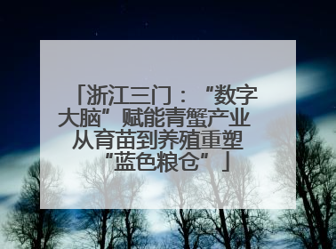 浙江三门：“数字大脑”赋能青蟹产业 从育苗到养殖重塑“蓝色粮仓”