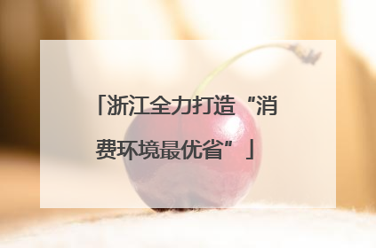 浙江全力打造“消费环境最优省”