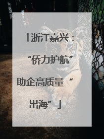 浙江嘉兴：“侨力护航”助企高质量“出海”