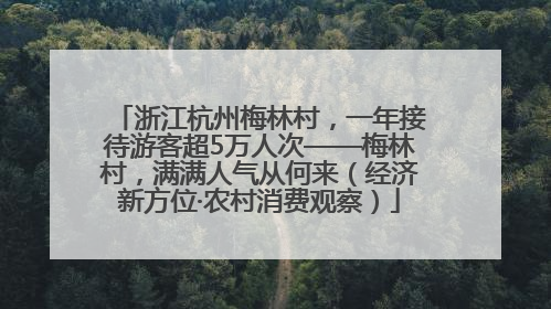 浙江杭州梅林村，一年接待游客超5万人次——梅林村，满满人气从何来（经济新方位·农村消费观察）