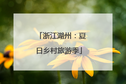 浙江湖州：夏日乡村旅游季
