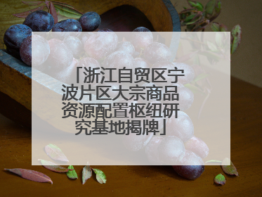 浙江自贸区宁波片区大宗商品资源配置枢纽研究基地揭牌