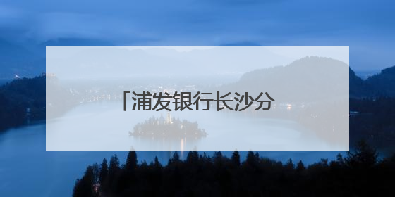 浦发银行长沙分行协办中非经贸博览会美食节