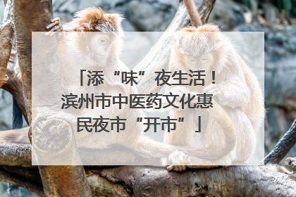 添“味”夜生活！滨州市中医药文化惠民夜市“开市”