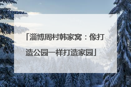 淄博周村韩家窝：像打造公园一样打造家园