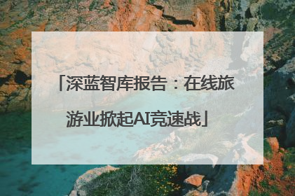 深蓝智库报告：在线旅游业掀起AI竞速战