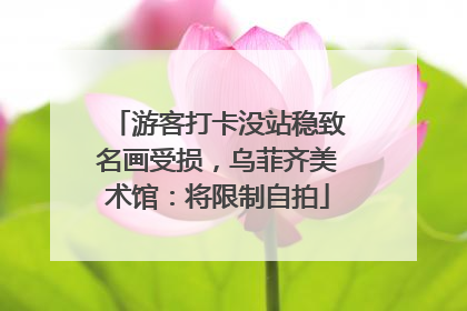游客打卡没站稳致名画受损，乌菲齐美术馆：将限制自拍