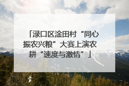渌口区淦田村“同心振农兴粮”大赛上演农耕“速度与激情”