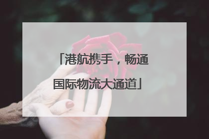港航携手，畅通国际物流大通道