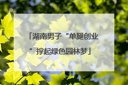 湖南男子“单腿创业”撑起绿色园林梦