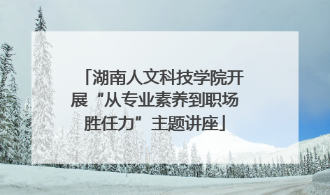 湖南人文科技学院开展“从专业素养到职场胜任力”主题讲座