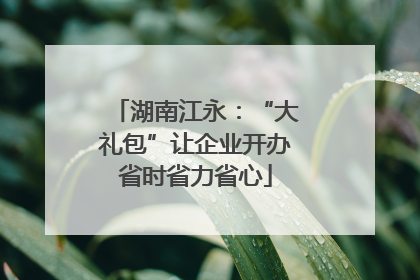 湖南江永：“大礼包”让企业开办省时省力省心