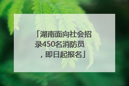 湖南面向社会招录450名消防员，即日起报名