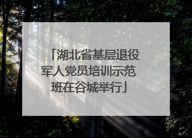 湖北省基层退役军人党员培训示范班在谷城举行