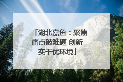 湖北嘉鱼：聚焦痛点破难题 创新实干优环境