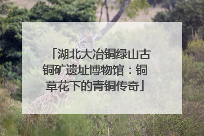 湖北大冶铜绿山古铜矿遗址博物馆：铜草花下的青铜传奇
