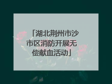 湖北荆州市沙市区消防开展无偿献血活动